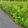 Mixed Native Hedging Troughs (Small)
